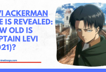 Levi Ackerman Real Age is Revealed: How Old Is Captain Levi (2022)? Manga
